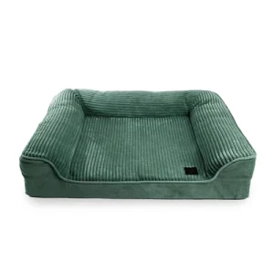 Martin Hondenmand Royal Collection Groen