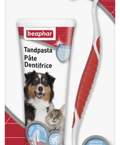 Beaphar Tandpasta En Borstel Combi-Pack