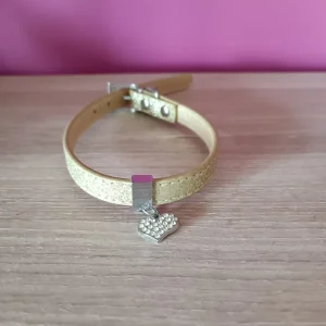 Halsband goudkleurig